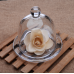Glass Bell Jar With Fluted Base Glass Bell Jar With Fluted Base