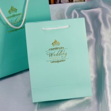 Tiffany Blue Paper Favor Bag